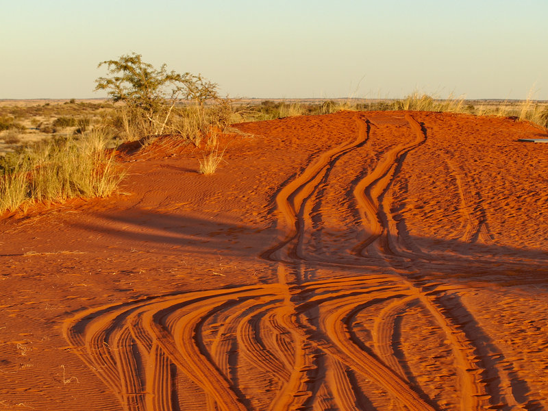 Kalahari